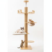 Arbre à Chat Bois Massif