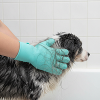 Gant de Toilettage Massant