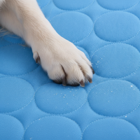 Tapis Rafraîchissant Été